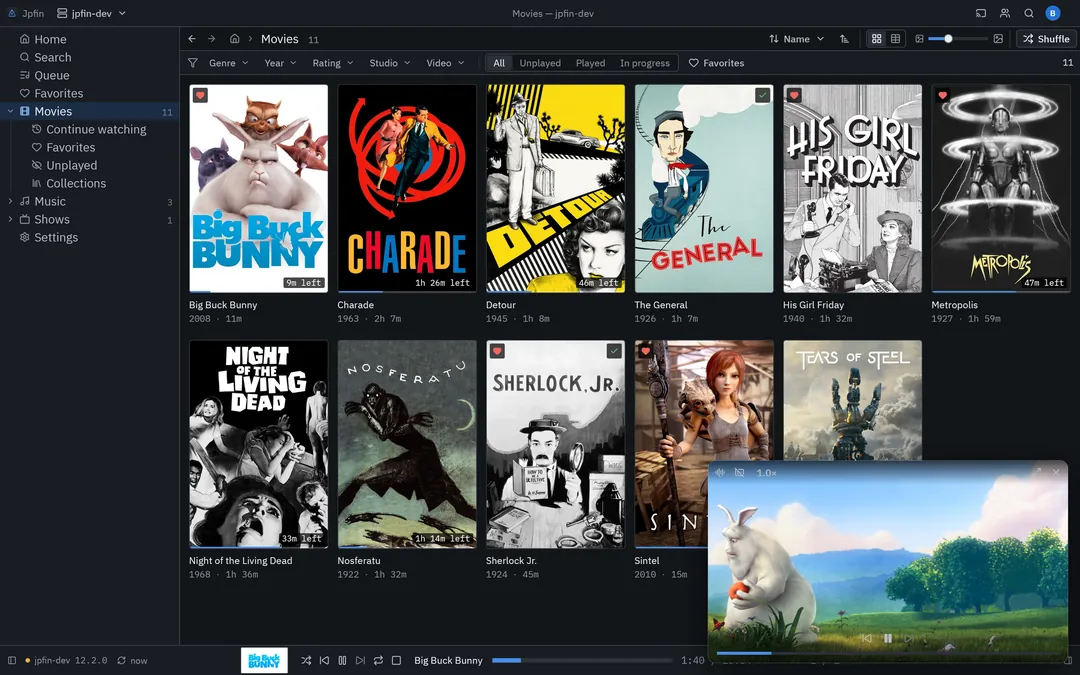 Jpfin Mini player